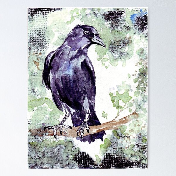 Crow Profile