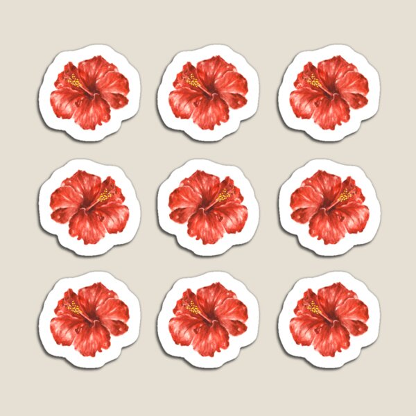 Watercolor Hibiscus Flowers Magnet