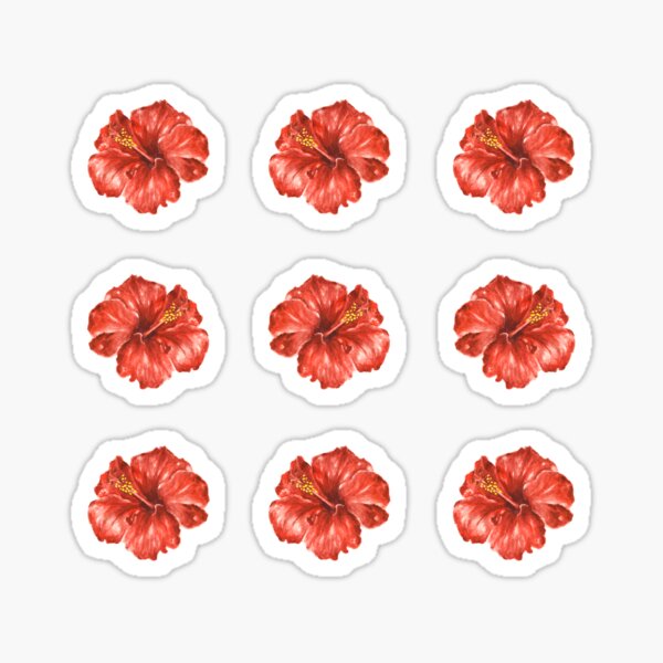 Watercolor Hibiscus Flowers Sticker