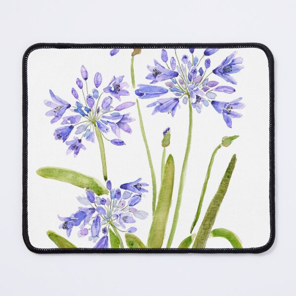 Item preview, Agapanthus in Bloom – Watercolor Botanical Flower Painting designed and sold by ColorandColor.
