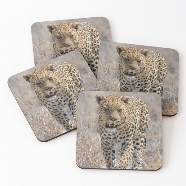 Item preview, Leopard Walking Towards You – Power and Grace designed and sold by DavideAntoniani.