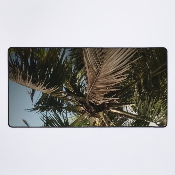 Item preview, Palm Trees designed and sold by Sérgio Rodrigues Garcez Filho.
