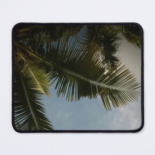 Item preview, Palm Trees designed and sold by Sérgio Rodrigues Garcez Filho.