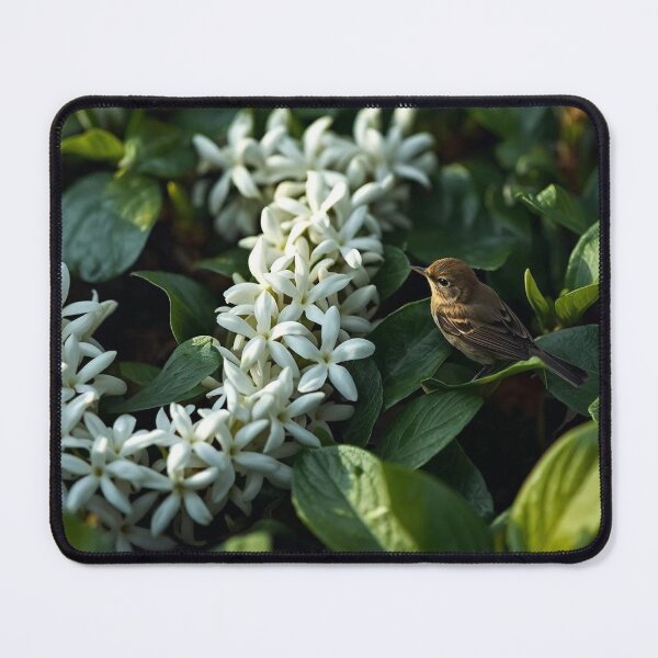 Item preview, Nature Alphabet Letter J – Jasmine Flowers & Bird Design designed and sold by HT-Creative.