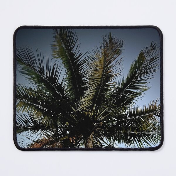 Item preview, Palm Trees designed and sold by Sérgio Rodrigues Garcez Filho.