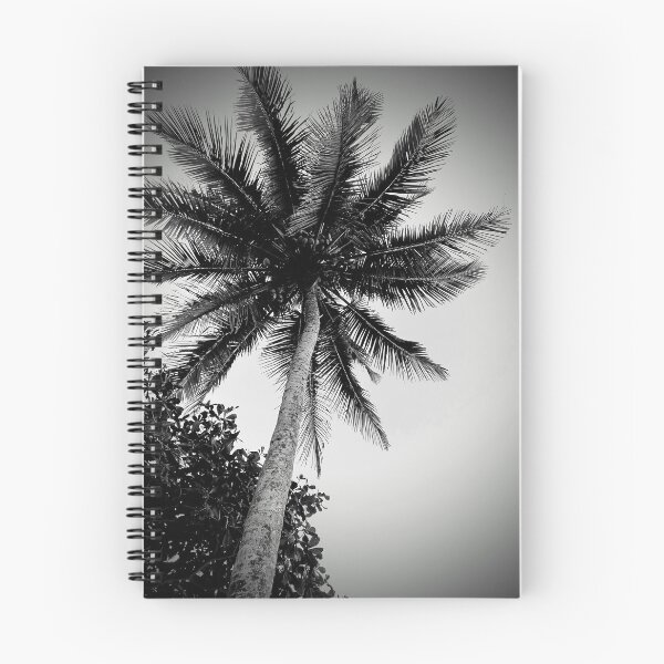 Item preview, Palm Trees designed and sold by Sérgio Rodrigues Garcez Filho.