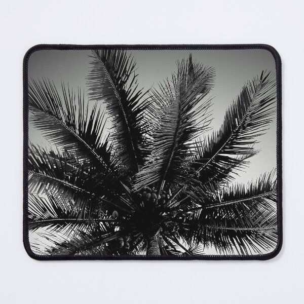 Item preview, Palm Trees designed and sold by Sérgio Rodrigues Garcez Filho.