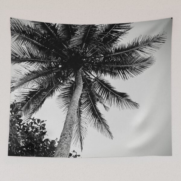 Item preview, Palm Trees designed and sold by Sérgio Rodrigues Garcez Filho.