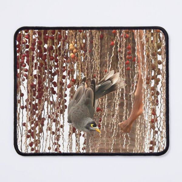 Item preview, Australian Noisy Miner hanging in Palm Tree designed and sold by PixSL Photography and Photo Art.