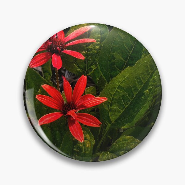 Item preview, Caught in the Spotlight designed and sold by Steve Walser.