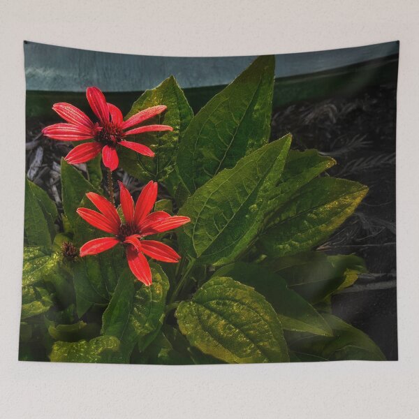 Item preview, Caught in the Spotlight designed and sold by Steve Walser.