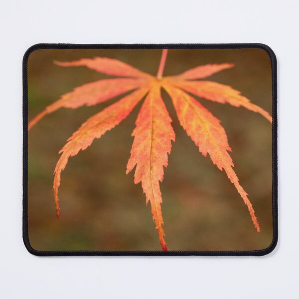 Item preview, Japanese Maple Leaf designed and sold by David Bowman.