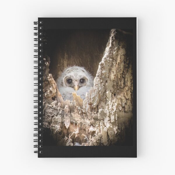 Item preview, Barred Owlet from its Nest  designed and sold by Shannon Emmel .