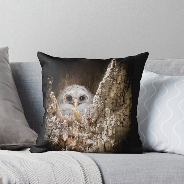 Item preview, Barred Owlet from its Nest  designed and sold by Shannon Emmel .