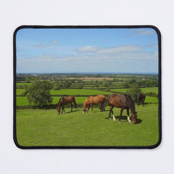 Item preview, Horses grazing in the Cotswolds designed and sold by stevepaint.