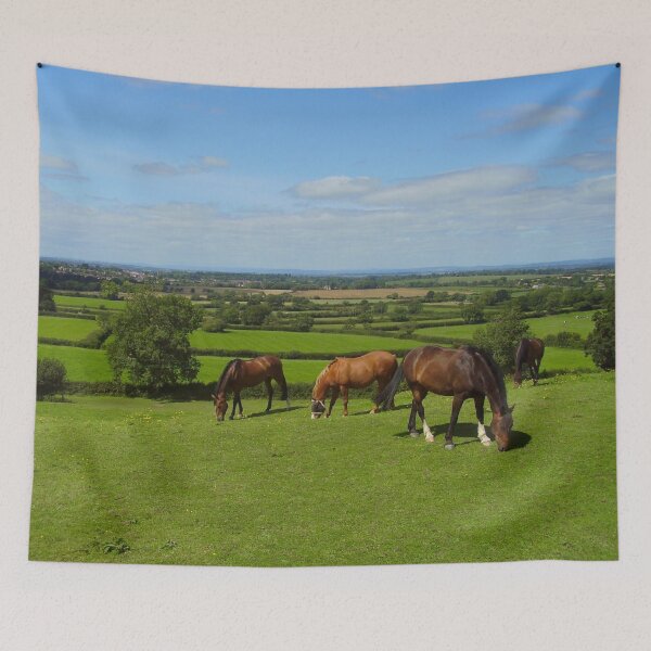 Item preview, Horses grazing in the Cotswolds designed and sold by stevepaint.