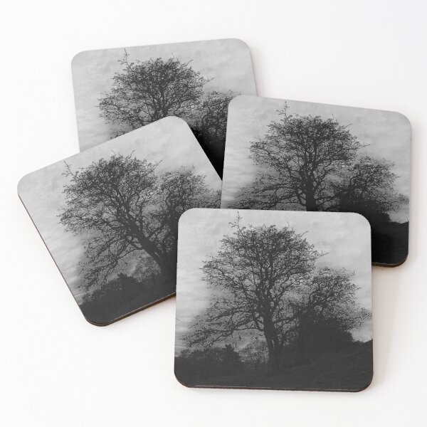 Item preview, The Witches tree, a black and white study designed and sold by stevepaint.