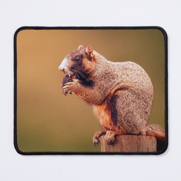 Item preview, Been Looking Forward To This Nut All Day designed and sold by Jim Love.