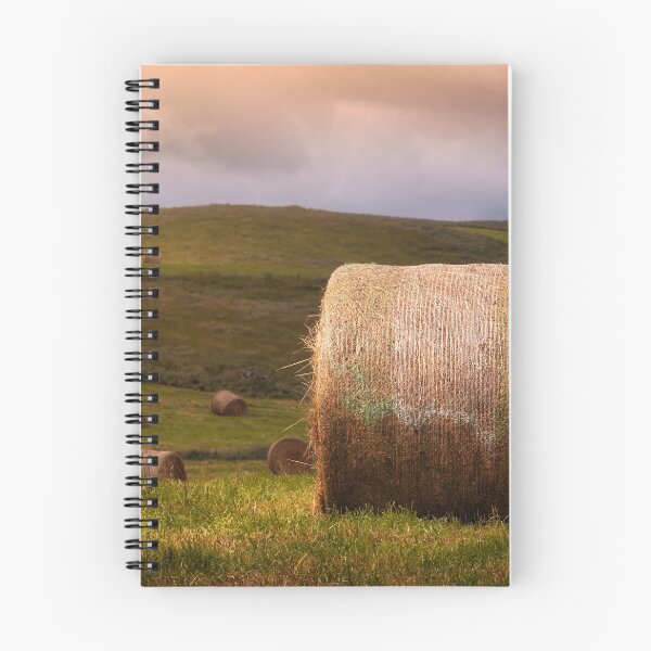 Item preview, Hay Alight designed and sold by Jim Love.