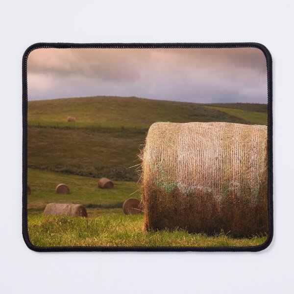 Item preview, Hay Alight designed and sold by Jim Love.