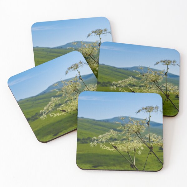 Item preview, Lush Highland Moor Landscape in Nagano Prefecture, Japan designed and sold by Pix4Japan.