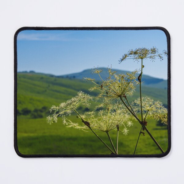 Item preview, Lush Highland Moor Landscape in Nagano Prefecture, Japan designed and sold by Pix4Japan.