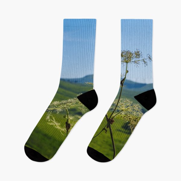Item preview, Lush Highland Moor Landscape in Nagano Prefecture, Japan designed and sold by Pix4Japan.