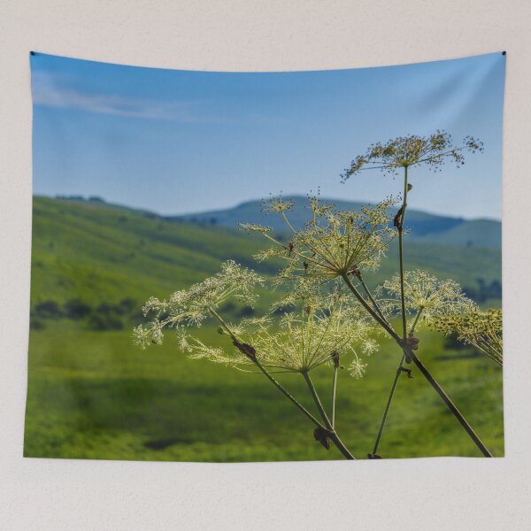 Item preview, Lush Highland Moor Landscape in Nagano Prefecture, Japan designed and sold by Pix4Japan.