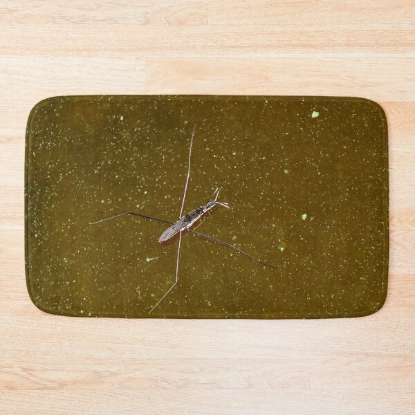 Item preview, Brown water green Cyanobacteria. Pond skater designed and sold by Jouko Lehto Photography.