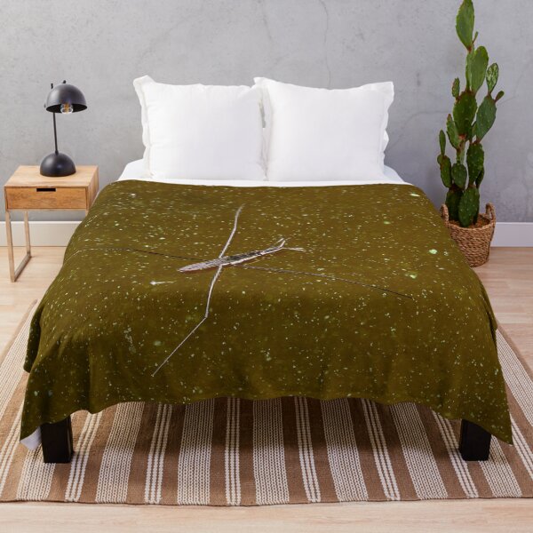 Item preview, Brown water green Cyanobacteria. Pond skater designed and sold by Jouko Lehto Photography.