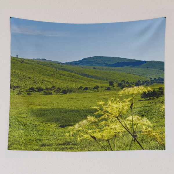 Item preview, Lush Highland Moor Landscape in Nagano Prefecture, Japan designed and sold by Pix4Japan.