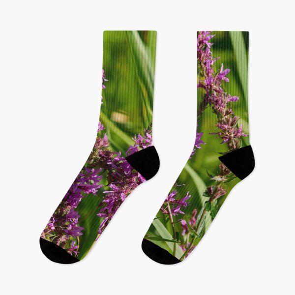 Item preview, Wild. Purple-loosestrife designed and sold by Jouko Lehto Photography.