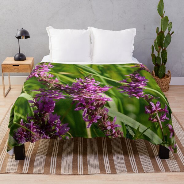Item preview, Wild. Purple-loosestrife designed and sold by Jouko Lehto Photography.