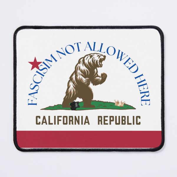 Item preview, Fascism Not Allowed Here Bear Flag designed and sold by Linklandiya.