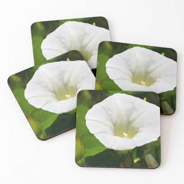 Item preview, Oh you creeping jenny. Field Bindweed designed and sold by Jouko Lehto Photography.
