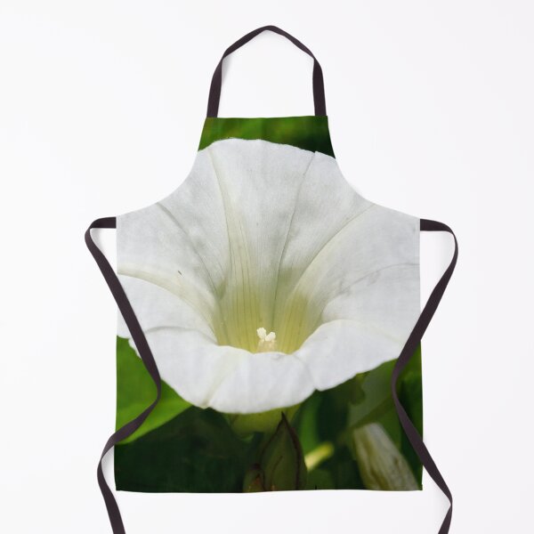 Item preview, Oh you creeping jenny. Field Bindweed designed and sold by Jouko Lehto Photography.