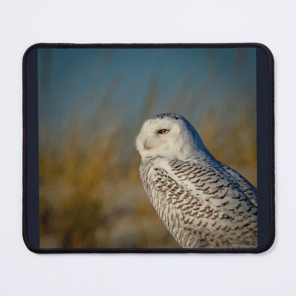 Item preview, Snowy Owl on Beach designed and sold by Shannon Emmel .