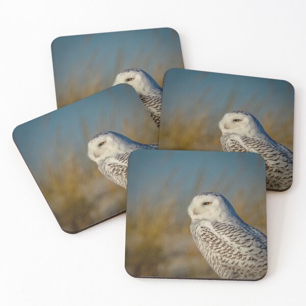 Item preview, Snowy Owl on Beach designed and sold by Shannon Emmel .