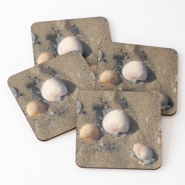 Item preview, Shells designed and sold by Designs by Helen.