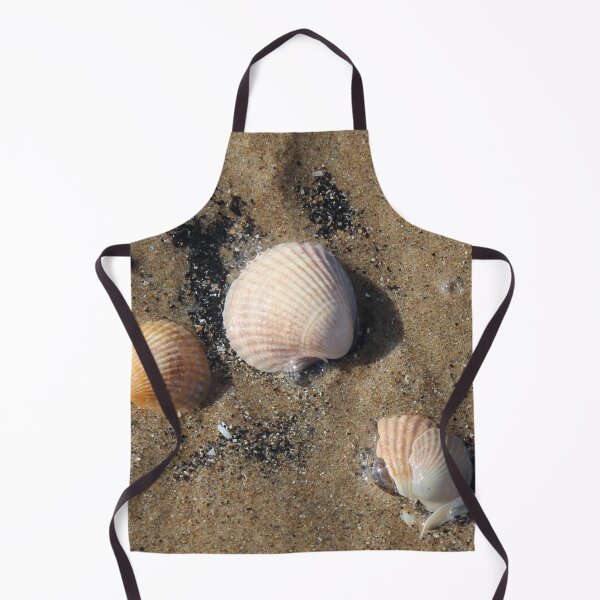 Item preview, Shells designed and sold by Designs by Helen.