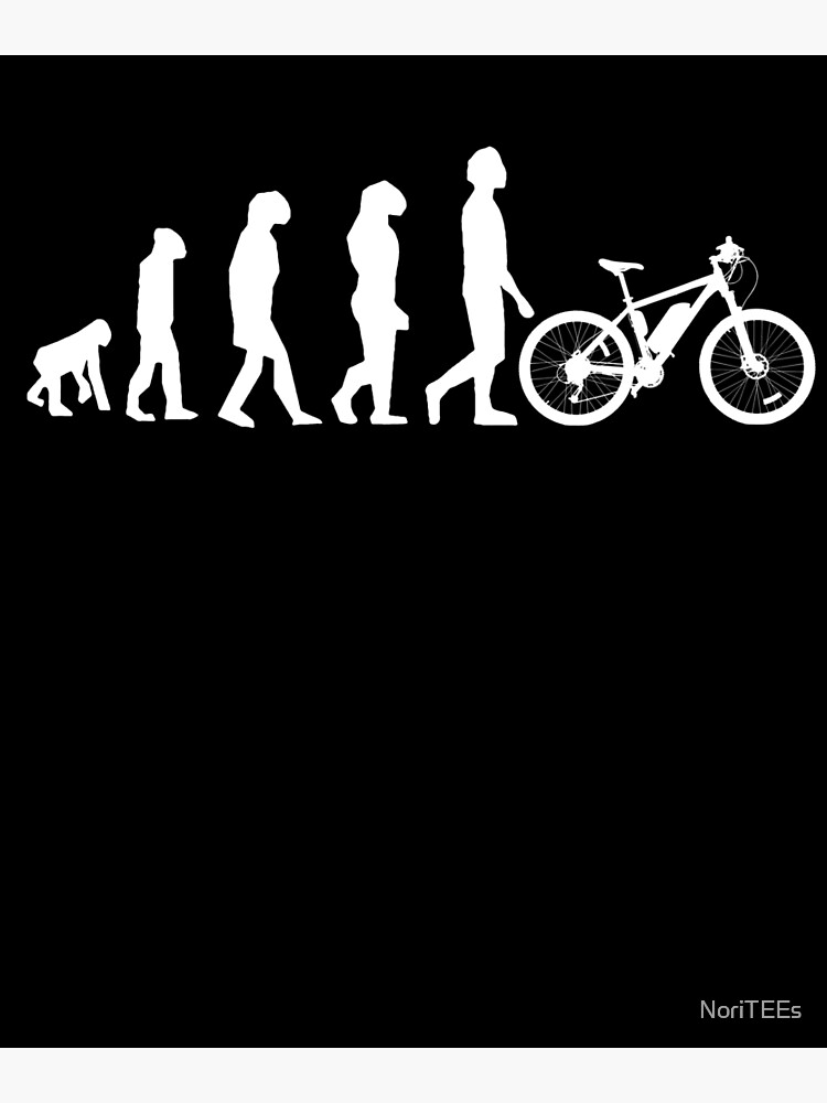 evolution mtb