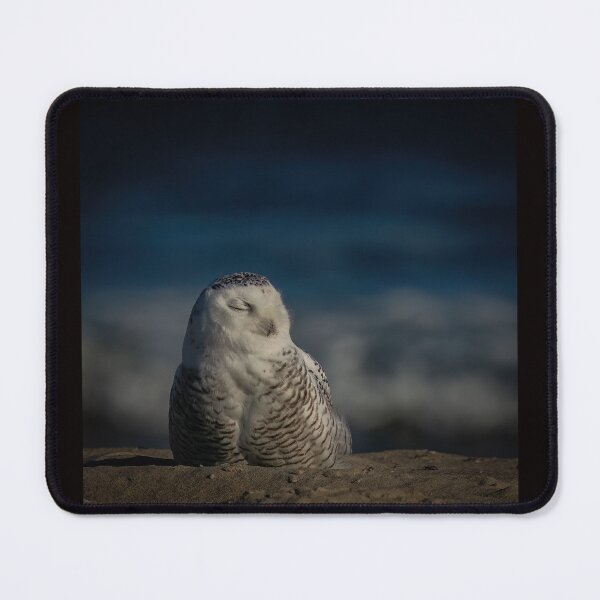 Item preview, Snowy Owl Sleeping on the Beach designed and sold by Shannon Emmel .
