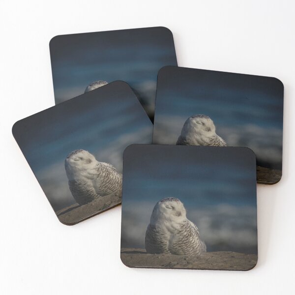Item preview, Snowy Owl Sleeping on the Beach designed and sold by Shannon Emmel .