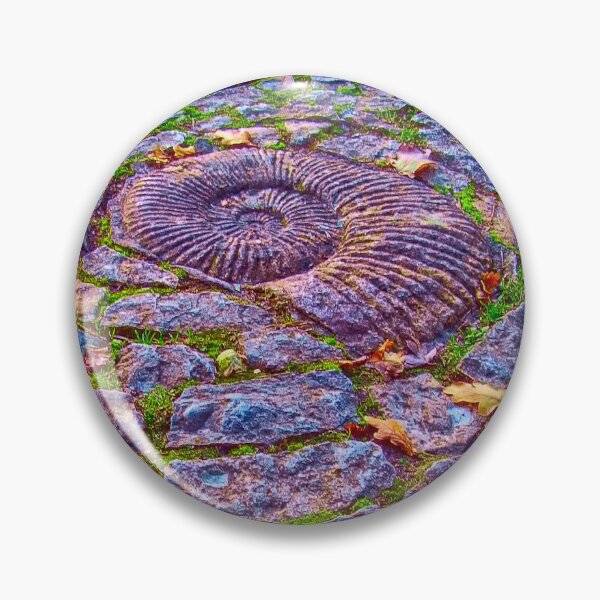 Item preview, A Magical ammonite at Glastonbury  designed and sold by stevepaint.