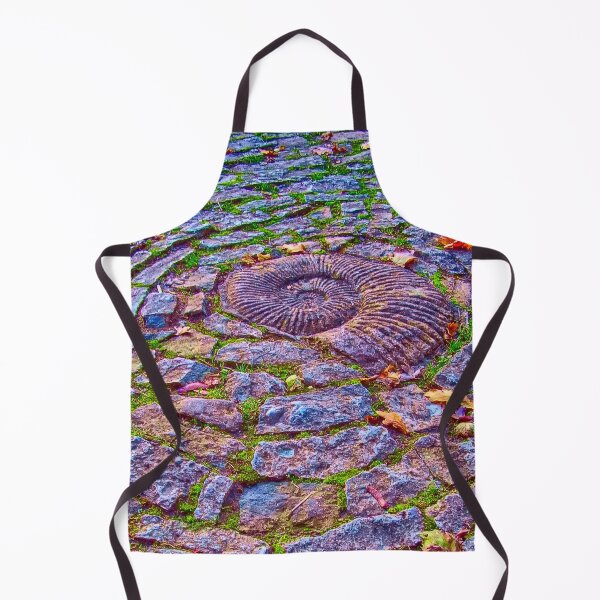 Item preview, A Magical ammonite at Glastonbury designed and sold by stevepaint.