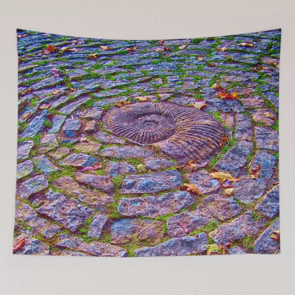 Item preview, A Magical ammonite at Glastonbury  designed and sold by stevepaint.
