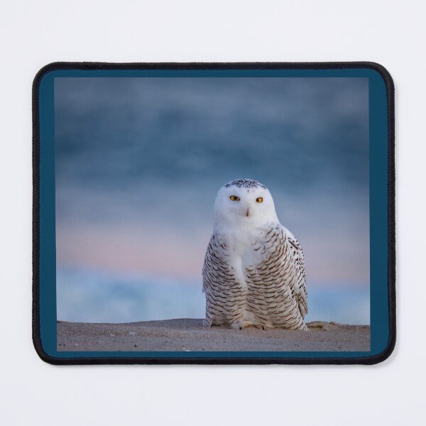 Item preview, Snowy Owl on the Beach During Sunset  designed and sold by Shannon Emmel .