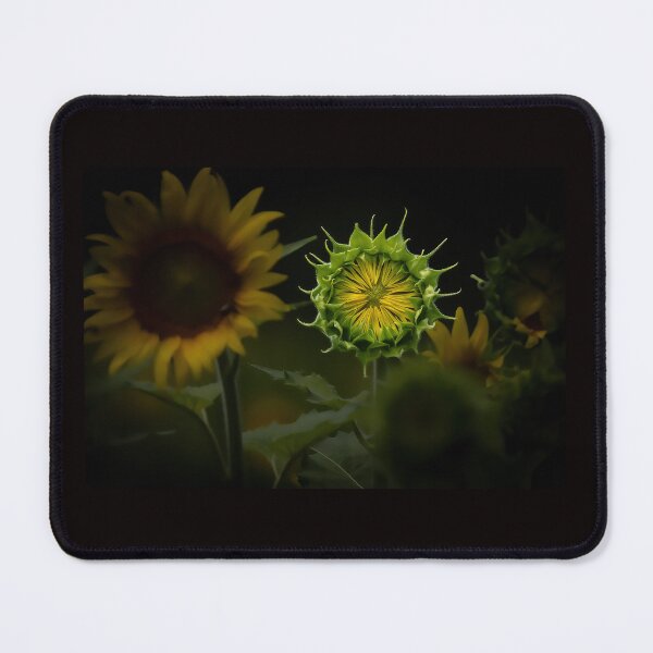 Item preview, Shine Bright Like a Sunflower designed and sold by Shannon Emmel .