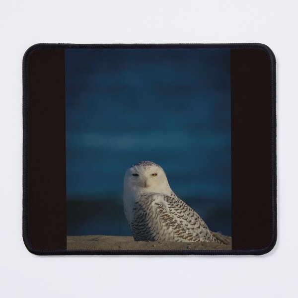 Item preview, Snowy Owl in Front of a Blue Ocean  designed and sold by Shannon Emmel .