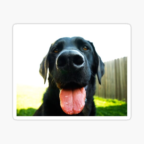 Black happy Sticker